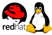 Tutorial Installasi Kloxo MR di VPS Linux CentOS dan RedHat, Installasi Kloxo MR, VPS Linux CentOS dan RedHat